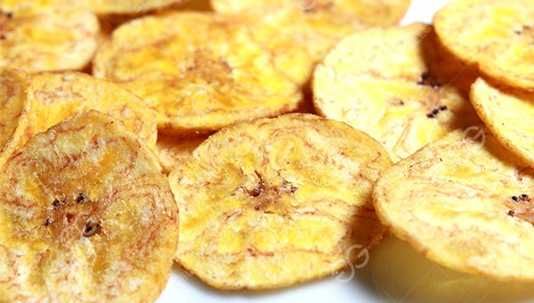 Business Plan for Plantain Chips Production